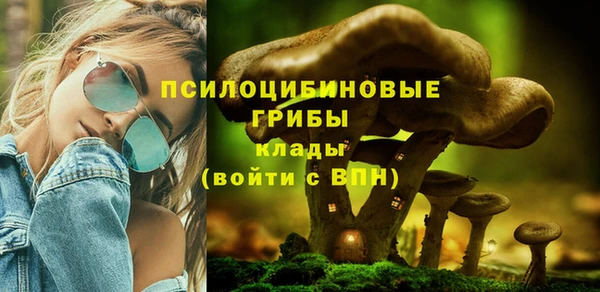 хмурый Болохово