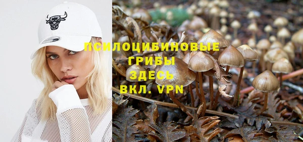 соль ск Наволоки