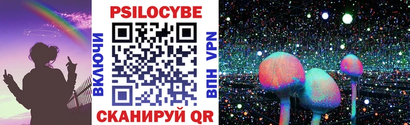 Галлюциногенные грибы Psilocybe  Западная Двина 